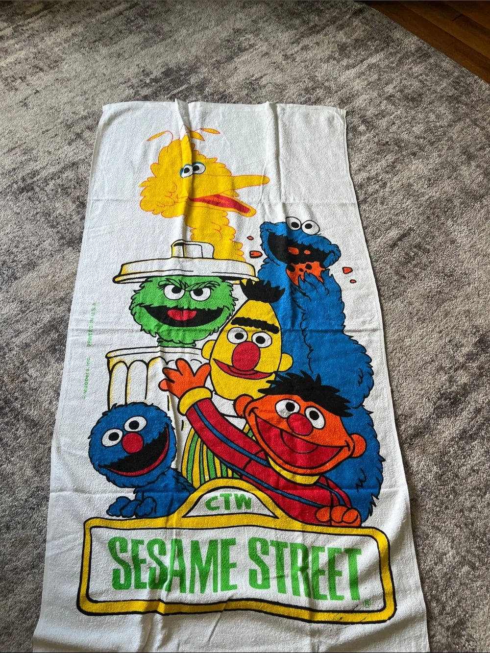 Sesame Street Character Beach Towel - Big Bird, Cookie Monster & Friends